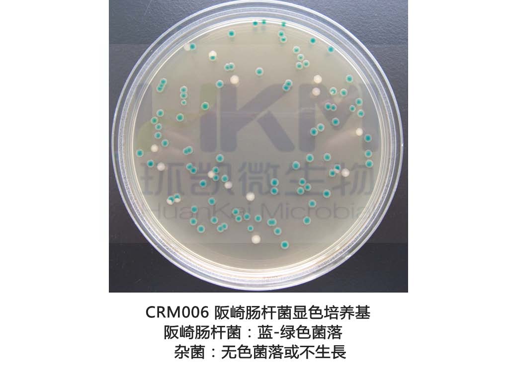 阪崎肠杆菌显色培养基(DFI)