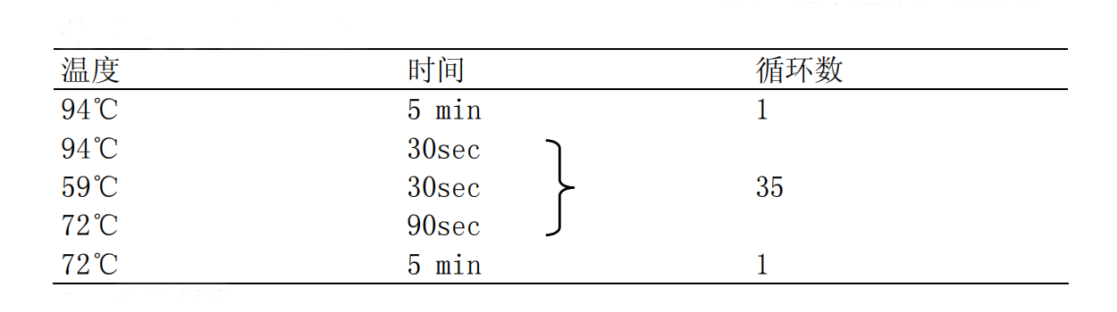 EPEC-STEC-EHEC多重PCR检测试剂盒PCR反应程序