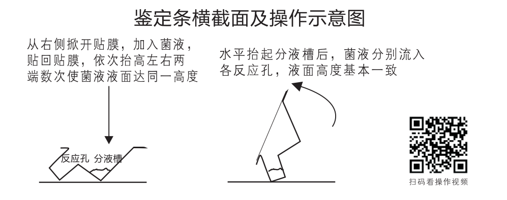 鉴定条横截面(miàn)及操作示意图